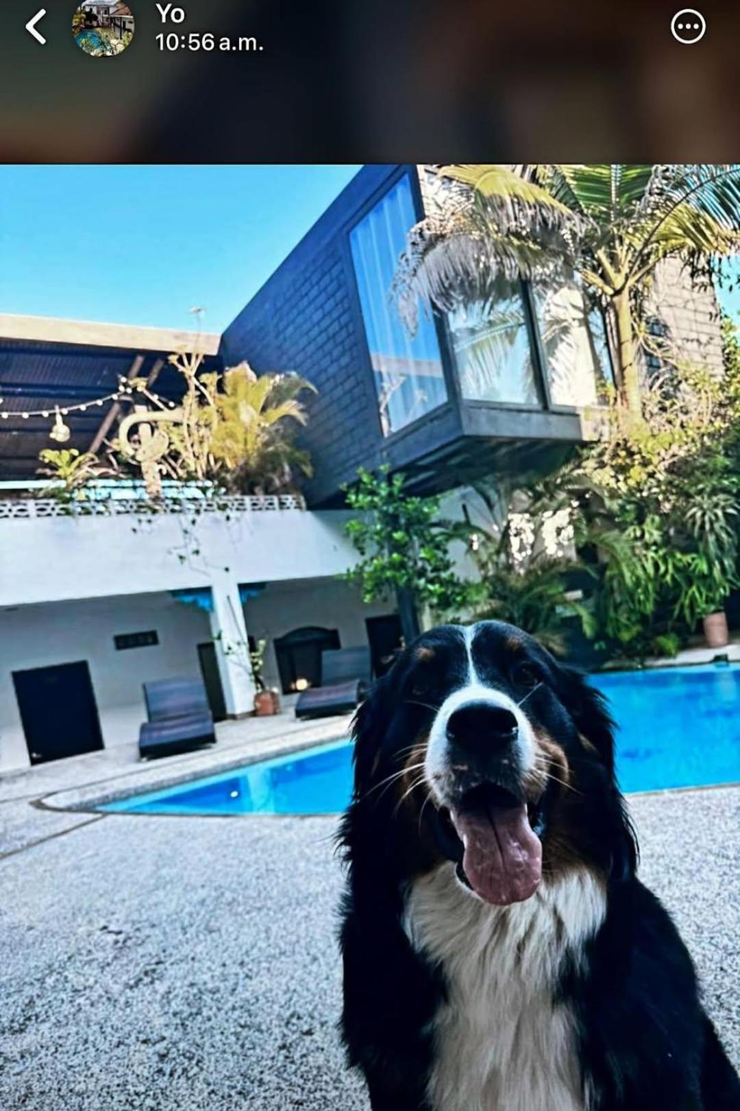 Capilla Del Sol Hotel Garzon  Ngoại thất bức ảnh